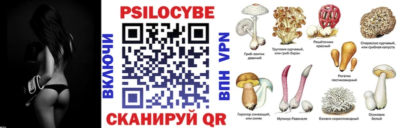 Псилоцибиновые грибы GOLDEN TEACHER  Купить  Кузнецк 